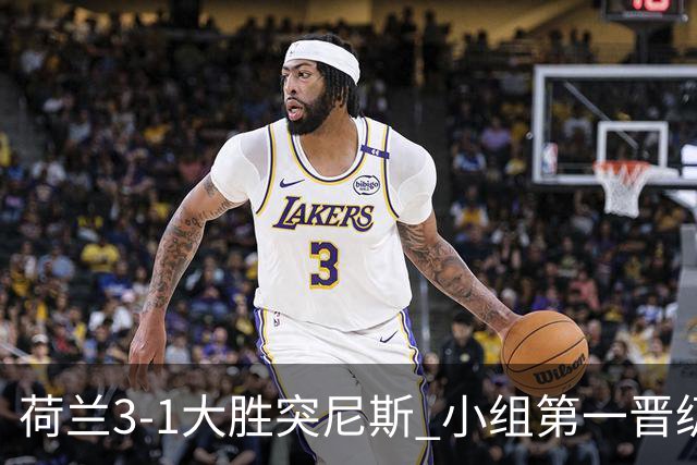 荷兰3-1大胜突尼斯 小组第一晋级淘汰赛将战摩洛哥